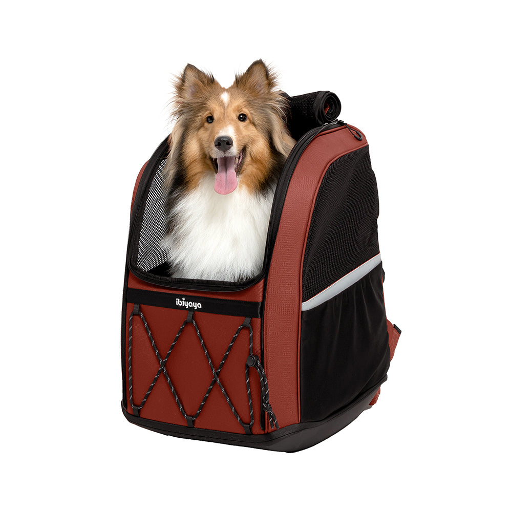 Puppy Carrier Bag Best for Long Travel, City Strolling, Jogging and Hiking
